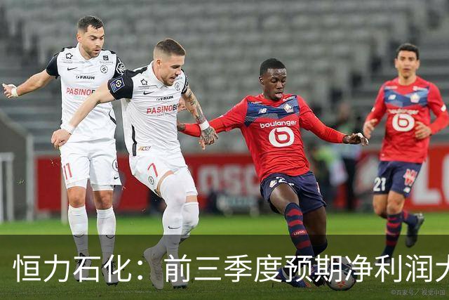 恒力石化：前三季度预期净利润大幅上涨104.20%