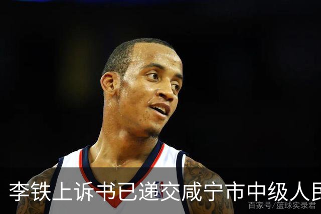 李铁上诉书已递交咸宁市中级人民法院