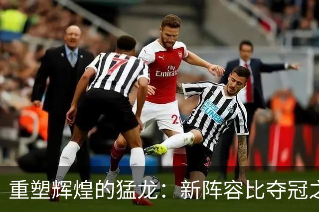 重塑辉煌的猛龙：新阵容比夺冠之年更具威胁